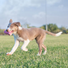 Load image into Gallery viewer, KONG Puppy Teething Stick Small/Medium/Large