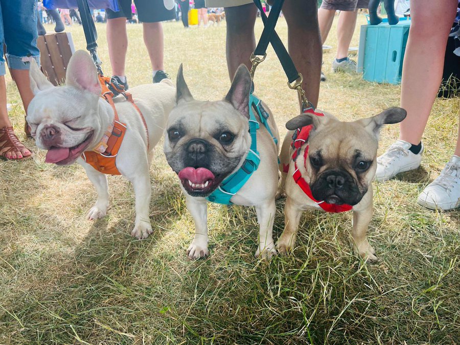 CHOOSING AND FITTING YOUR RUFFWEAR HARNESS
