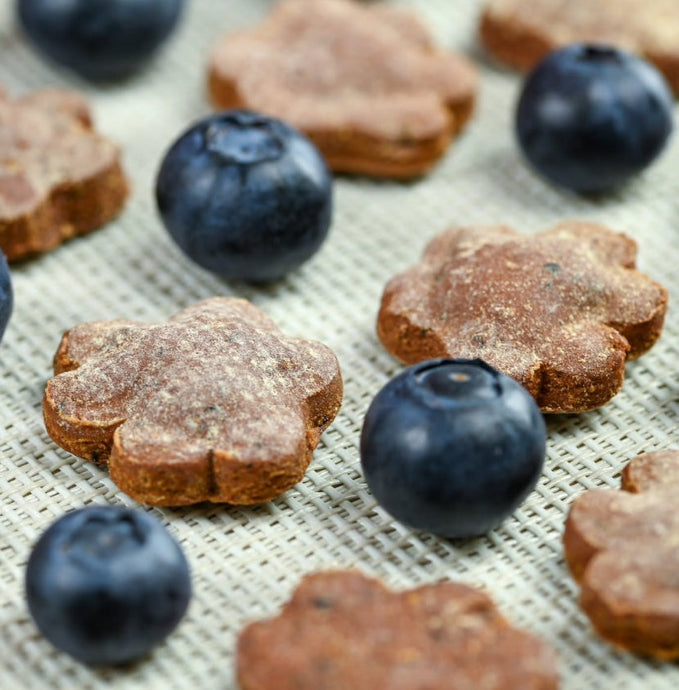 Why We Love Apawtiser: Natural Dog Treats With a Heart