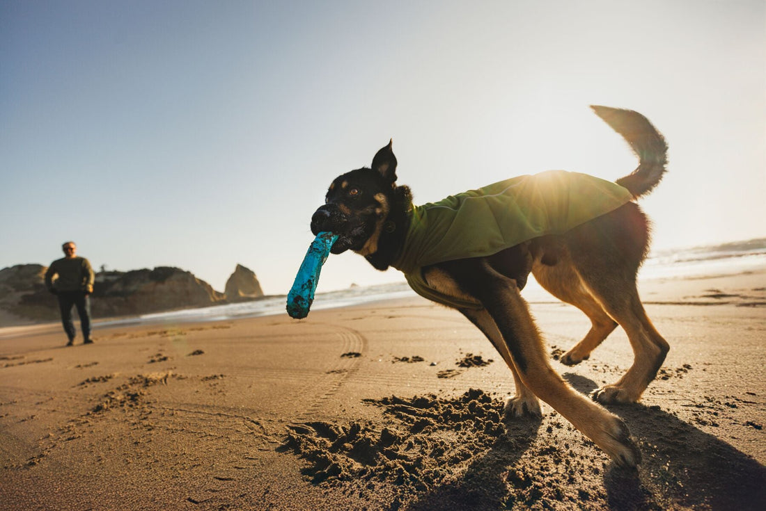 Meet the Ruffwear Climate Changer Vest & Jacket -  your best Autumn apparel