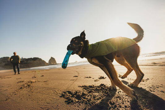 Meet the Ruffwear Climate Changer Vest & Jacket -  your best Autumn apparel