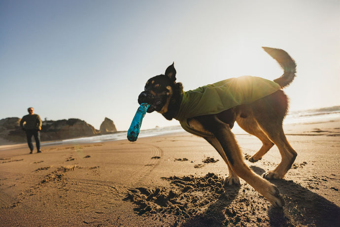 Meet the Ruffwear Climate Changer Vest & Jacket -  your best Autumn apparel