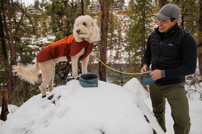 The Best Dog coats for all weather