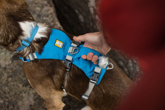 Best harness for dogs that escape