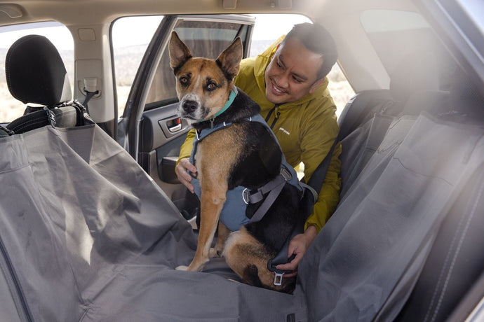 Ruffwear Load Up Car Harness: Testing & Design