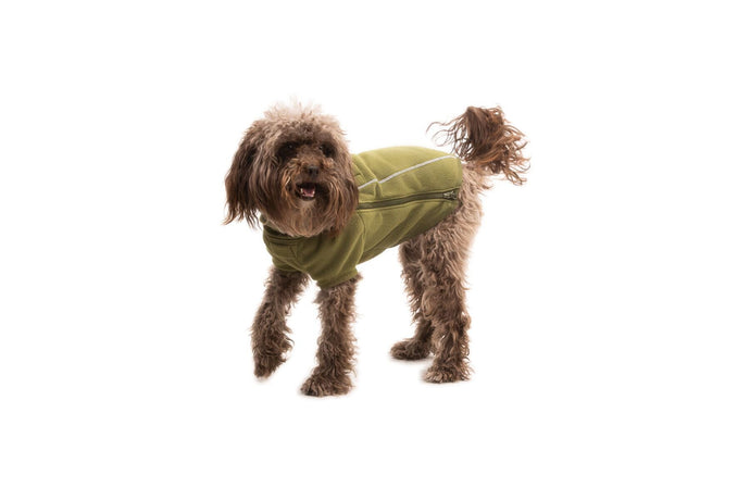 Choosing a Ruffwear jacket or fleece that's right for your dog