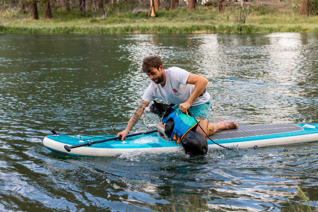 Watersports with your dog - Stand up Paddleboarding, Kayaking etc