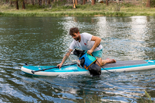Watersports with your dog - Stand up Paddleboarding, Kayaking etc
