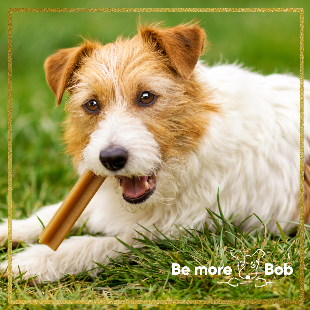 The Ultimate Guide to Natural Dog Treats, Chews & Toys