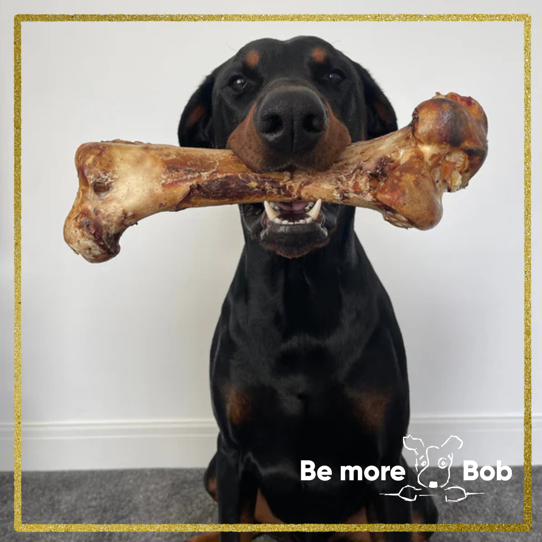 Why Natural Chews Are Great for Your Dog
