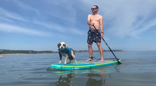 Ruffwear Confluence vs Float Coat: Which Dog Life Jacket Is Right for Your Adventure?