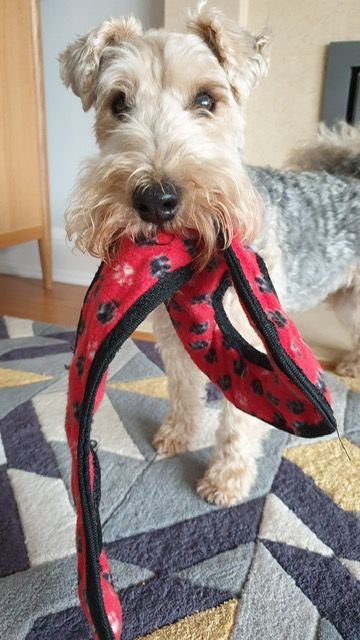 Indoor games for rainy days - Tug-O-War & Find-It