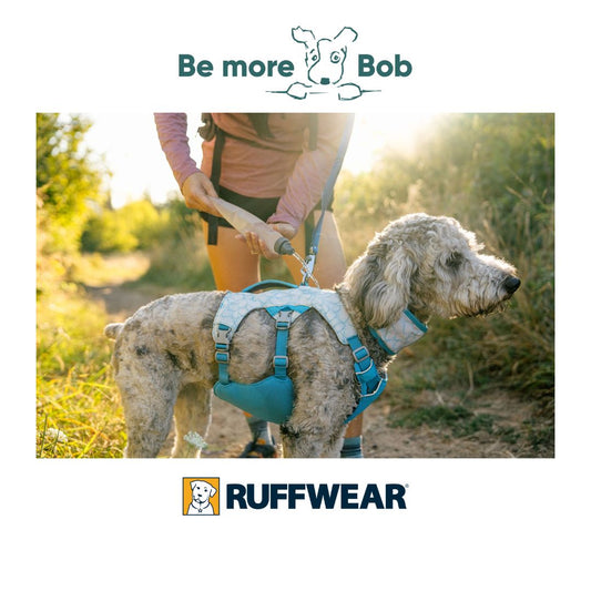 Keep Your Dog Cool This Summer With Ruffwear’s Swamp Cooler Cooling coat Collection