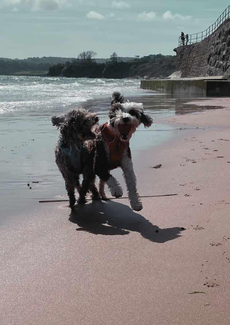 Day Trip to the Beach - let's get packing!