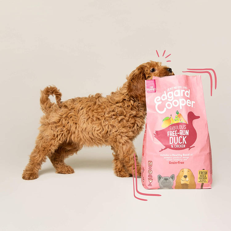 Puppy Food & Treats