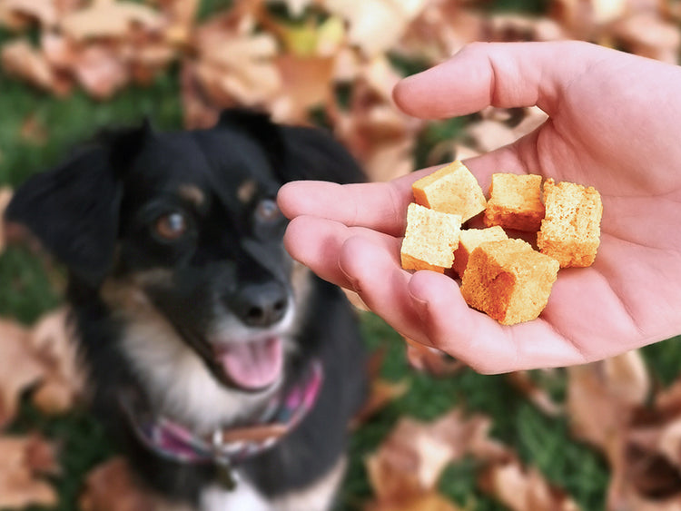 ALL TREATS