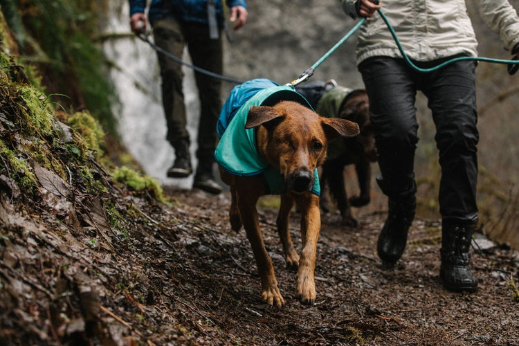 Waterproofs