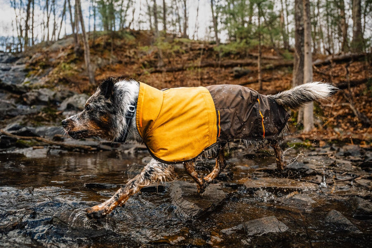 dog coat ruffwear