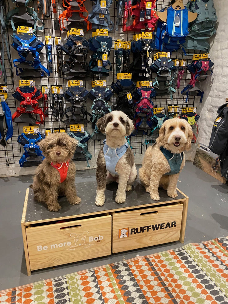 Harnesses