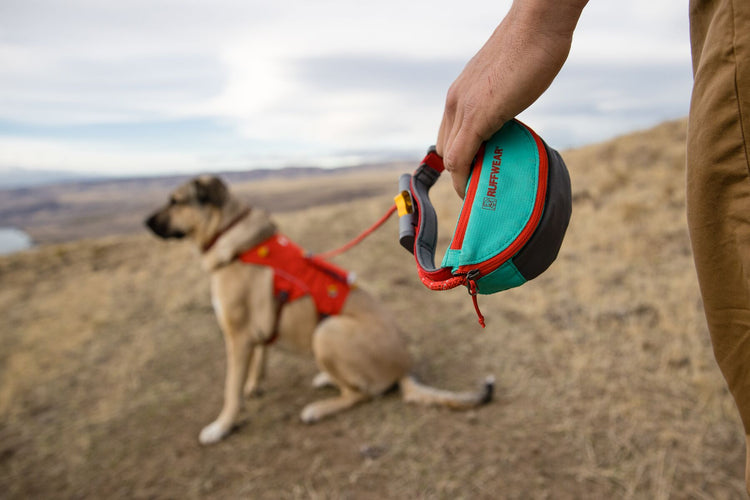 HIKING / WALKING