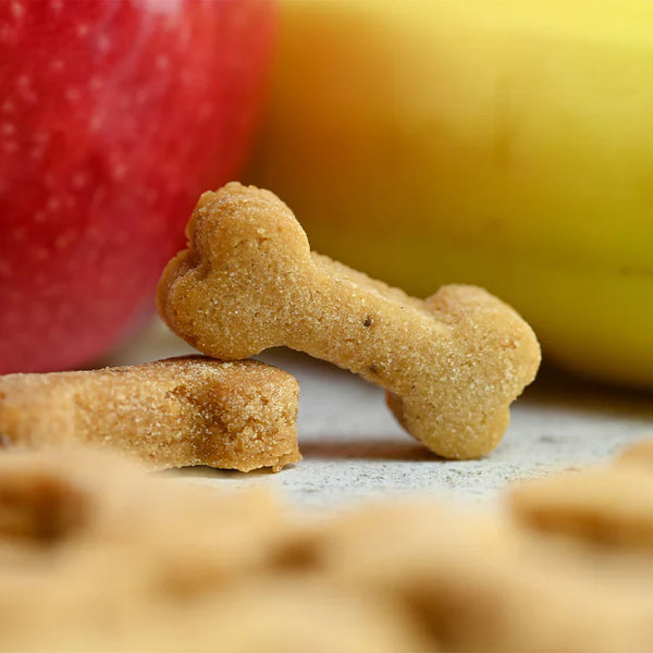 Treats & Chews for dogs with sensitive stomachs