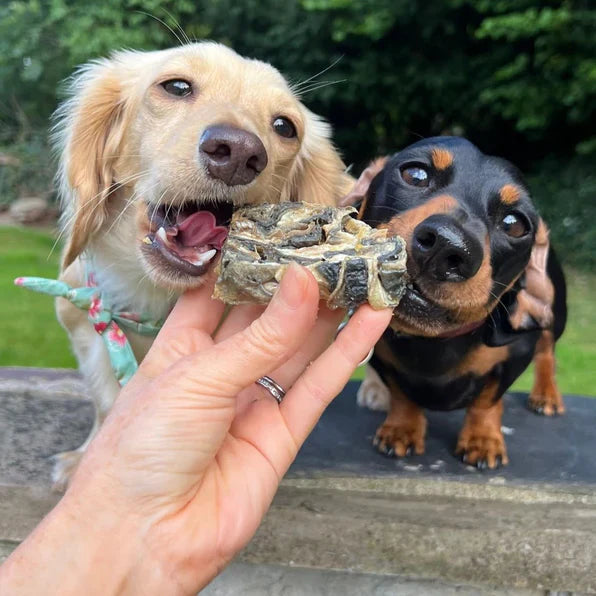 Longer Lasting Chews for Sensitive Tummy