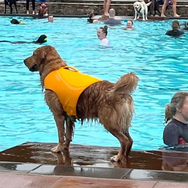 Life Jackets & Swimming Gear