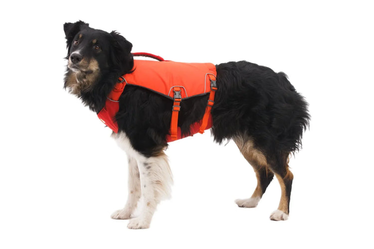 Life Jackets & Swimming Gear
