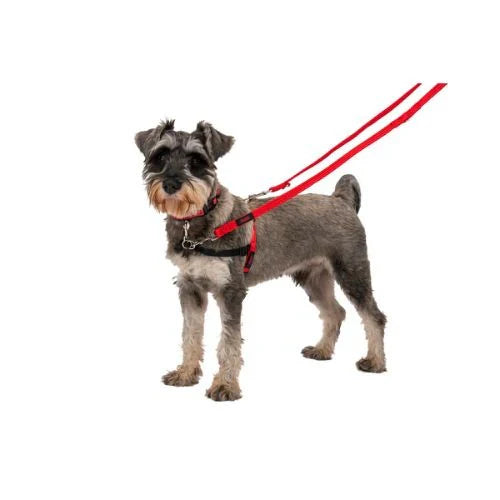 Leads