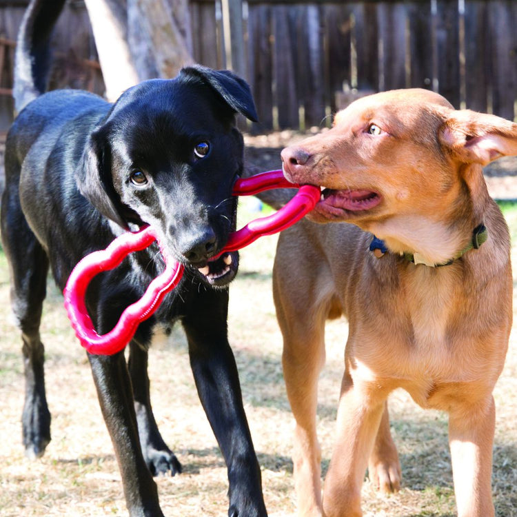 Tug-o-War