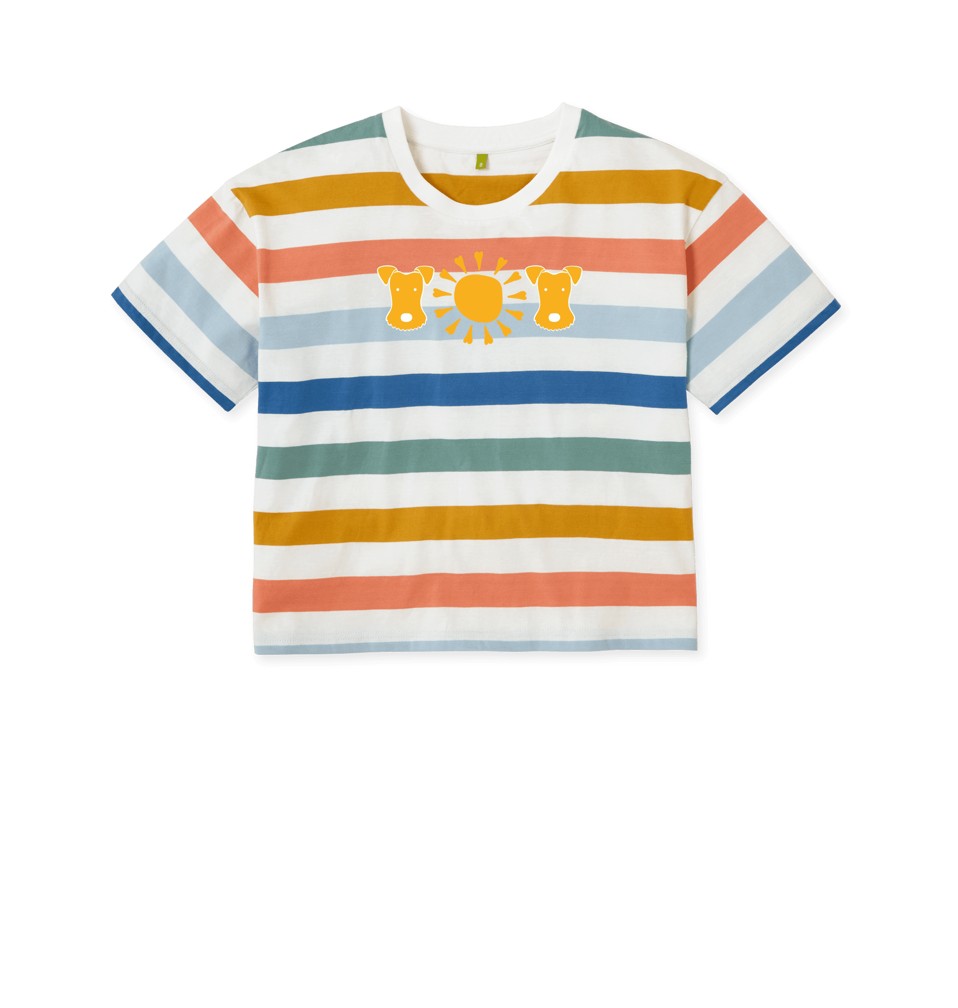 Multicolour Stripes Printed T-shirt Front