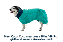 Load image into Gallery viewer, Dirtbag Dog Drying Towel