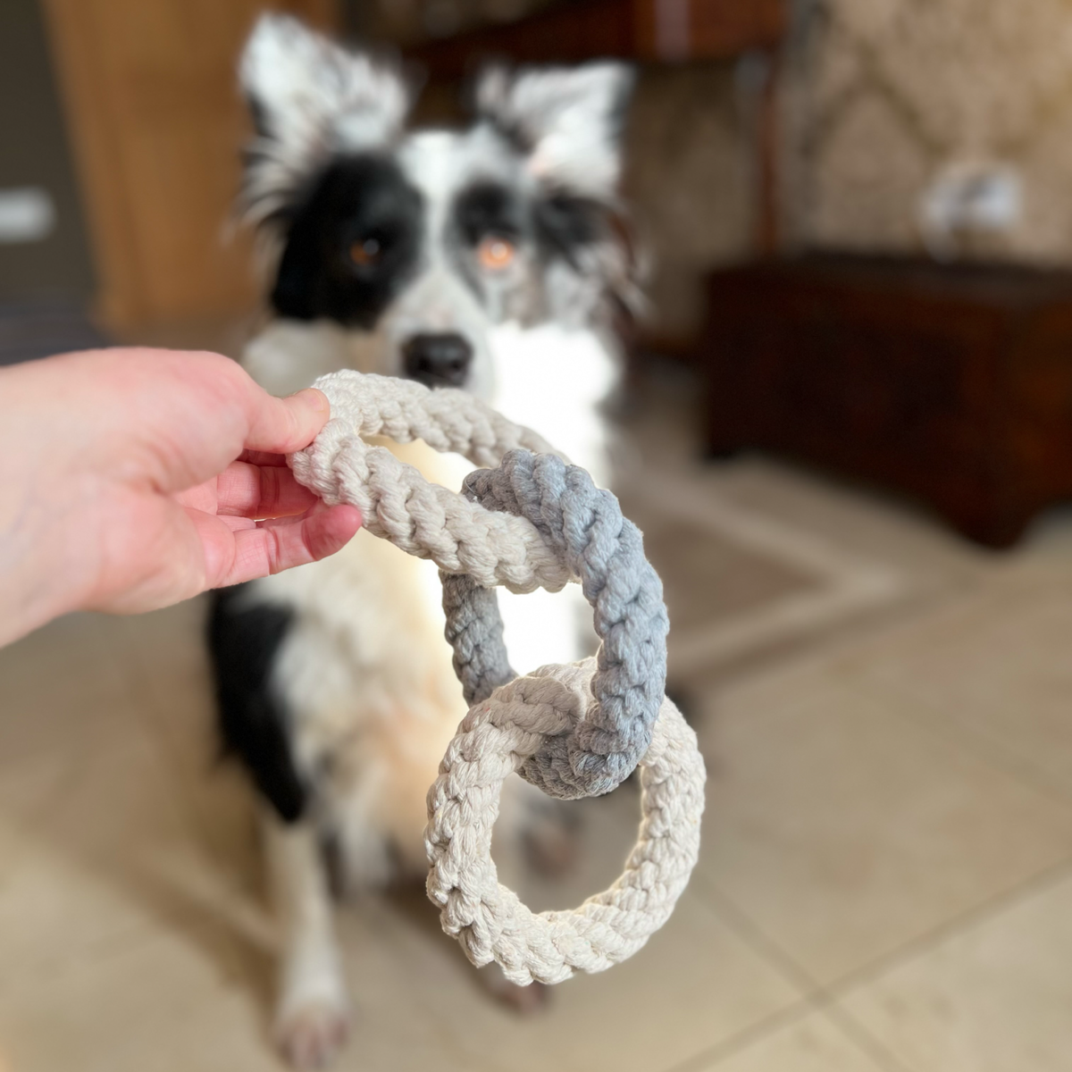 Tri Ring Rope Toy