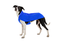 Load image into Gallery viewer, Ruffwear VERT Jacket - Blue Pool