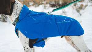 Ruffwear VERT Jacket - Blue Pool