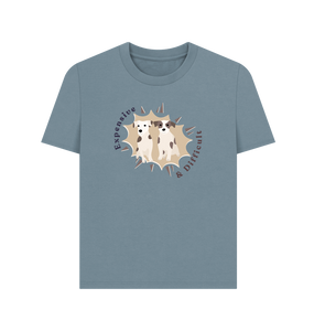 Stone Blue Printed T-shirt Front