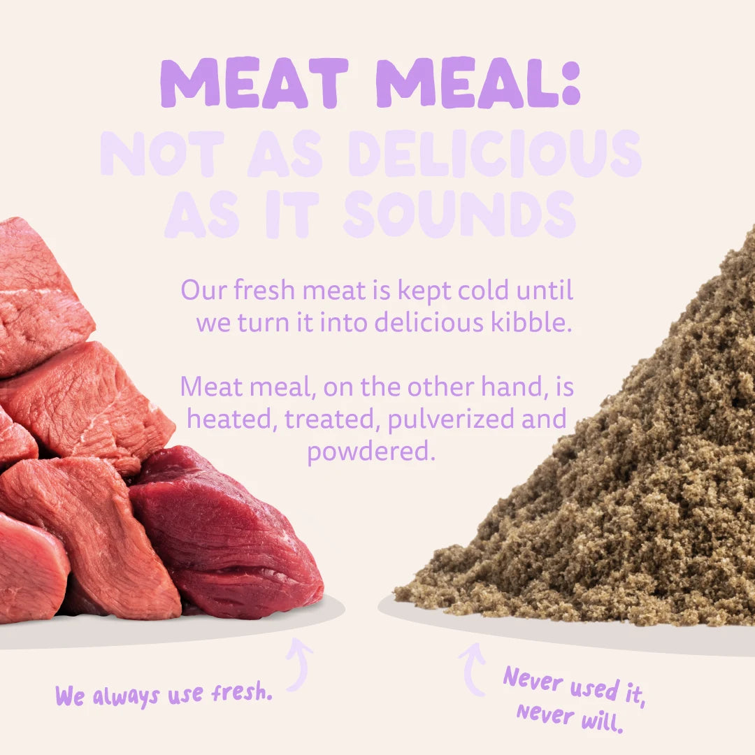 Hypoallergenic Dry Dog Food - Fresh Duck - Edgard Cooper