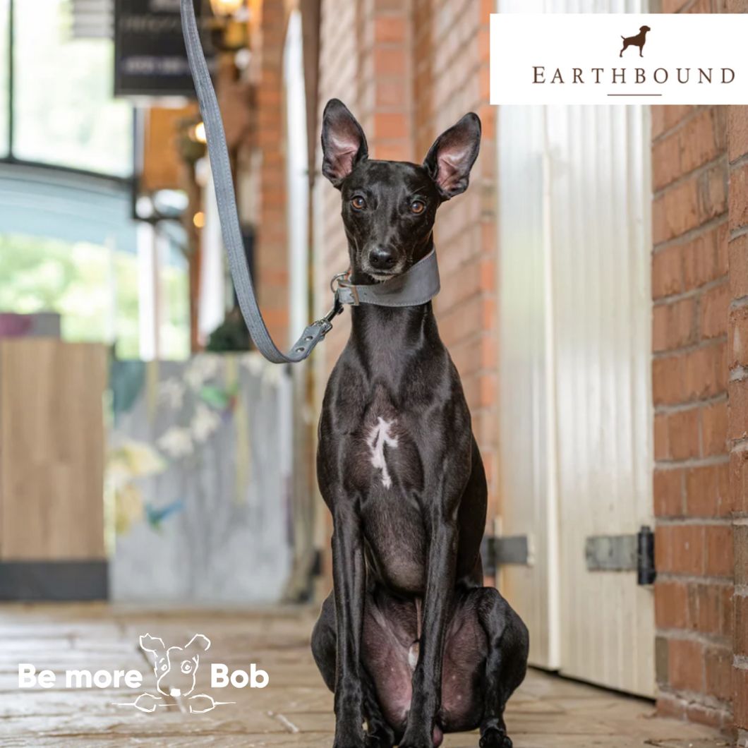 Earthbound Leather Whippet Collar Grey