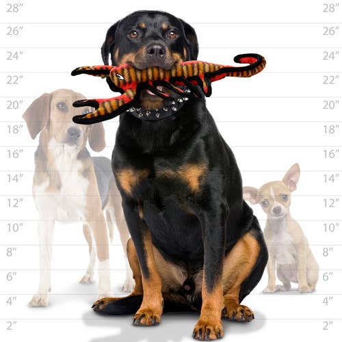 Desert Scorpion, Durable, Tough, Squeaky Dog Toy | Tuffy