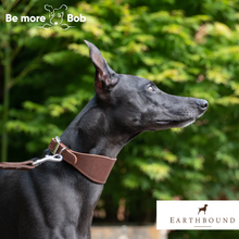 Load image into Gallery viewer, Earthbound Leather Whippet Collar Brown