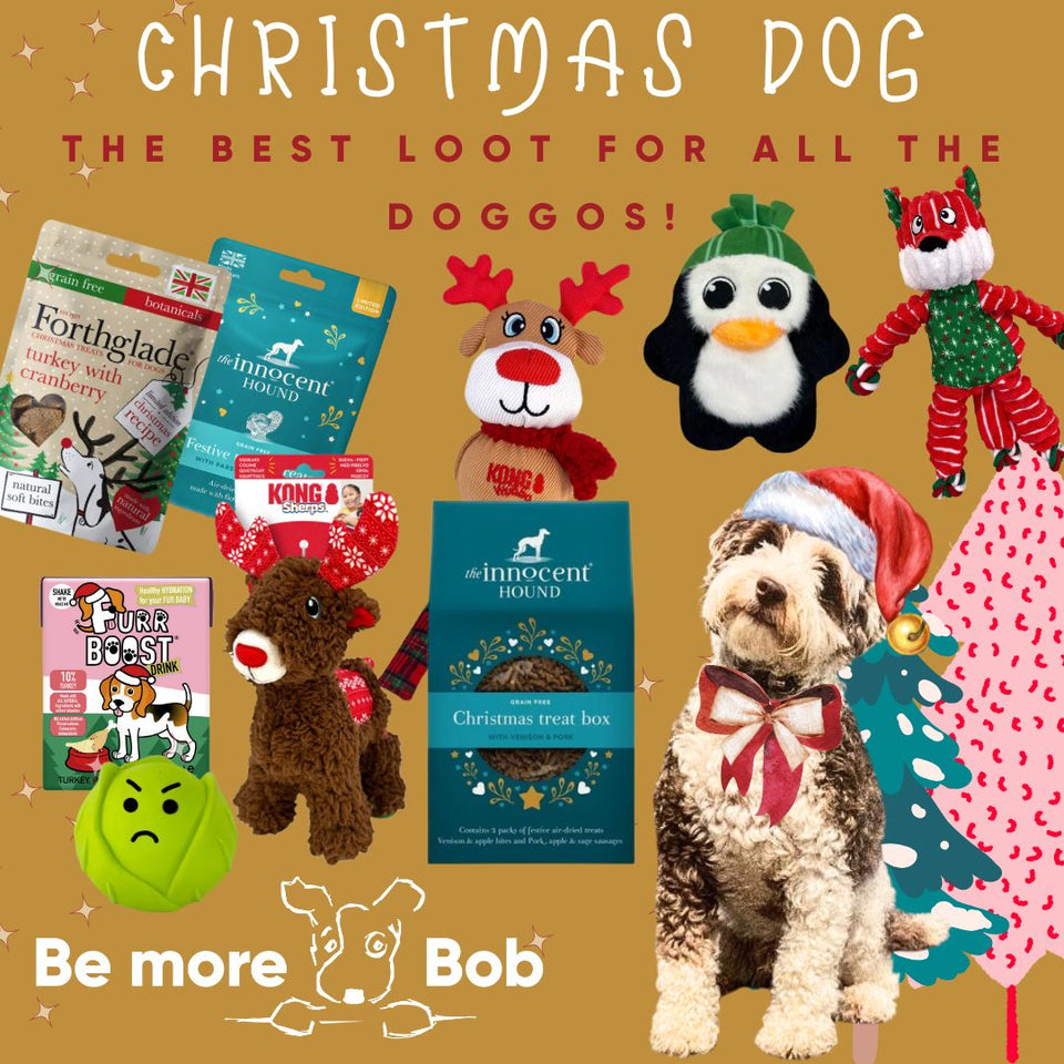 dog christmas gifts