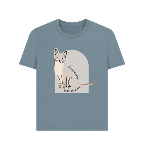 Stone Blue Printed T-shirt Front