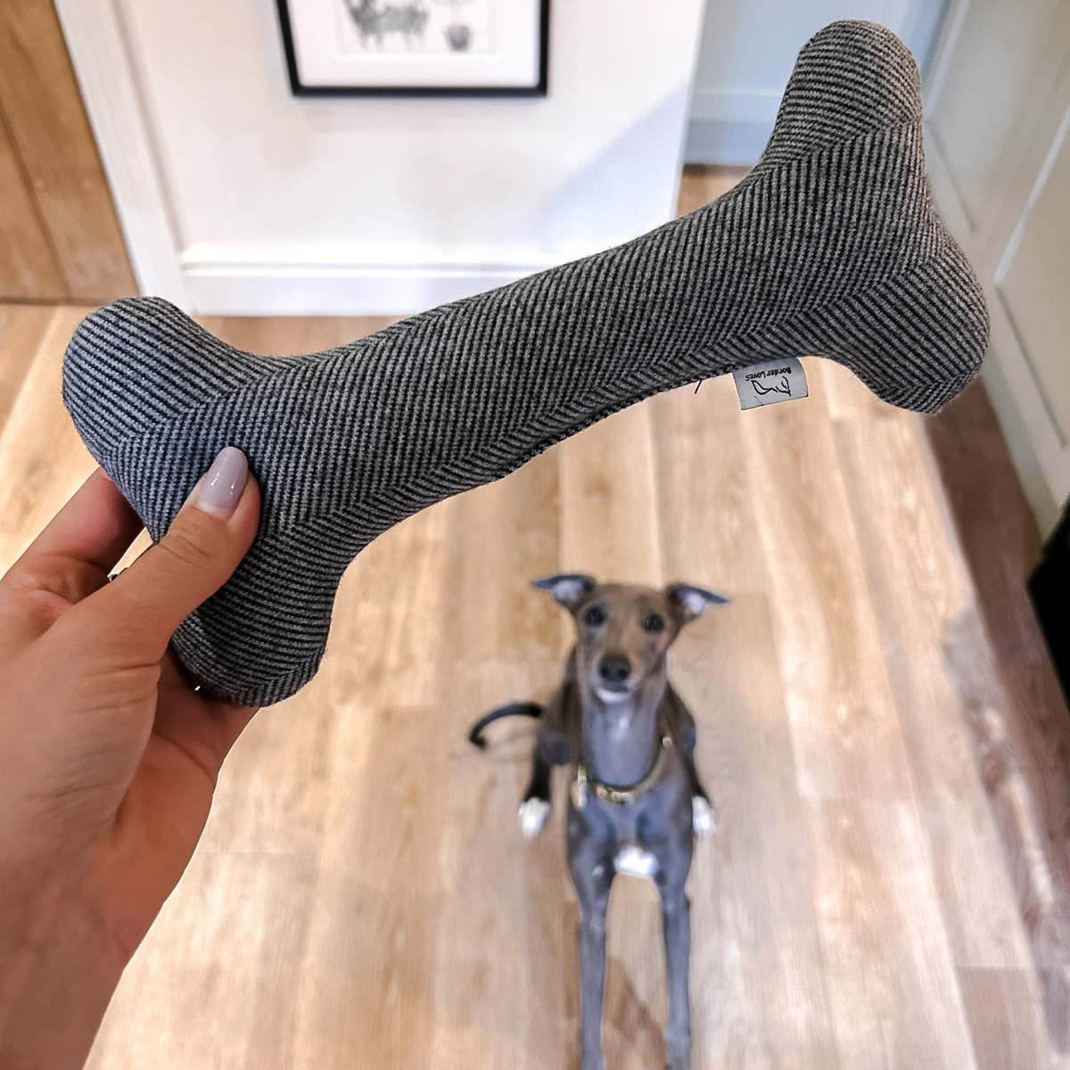 Wool Bone