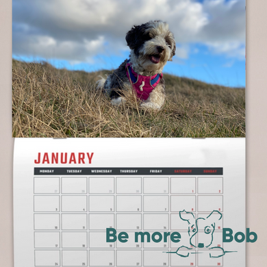 Be More Bob Wall Calendar 2025