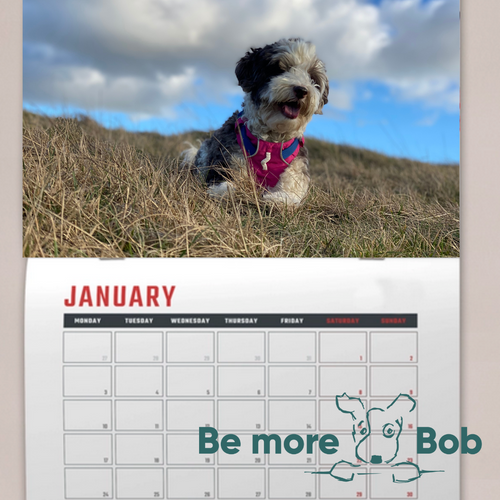 PRE-SALE! Be More Bob Wall Calendar 2025