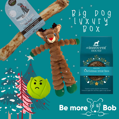 Big Dog Luxury Christmas Bundle!