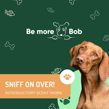 Load image into Gallery viewer, Introductory Scent Work Classes