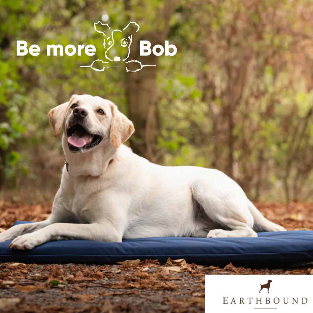 Earthbound Waterproof Bed / Crate Mat - Navy or Grey