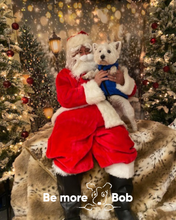 Load image into Gallery viewer, Santa Paws Grotto!