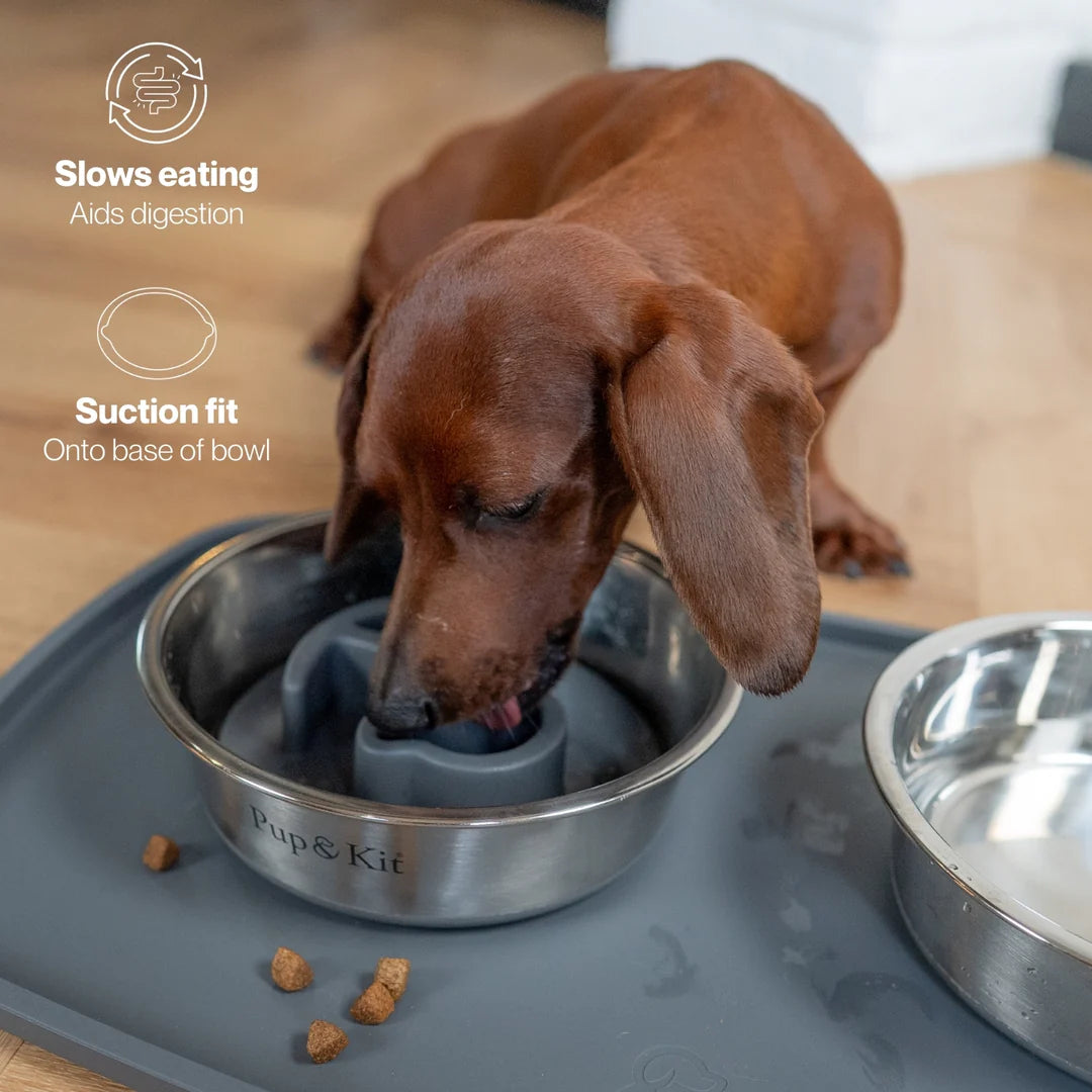 Lid-it Pet Slow Feeder Bowl Insert